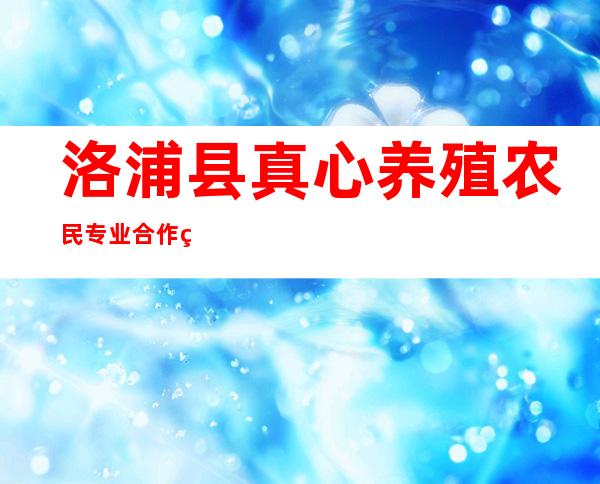 洛浦县真心养殖农民专业合作社
